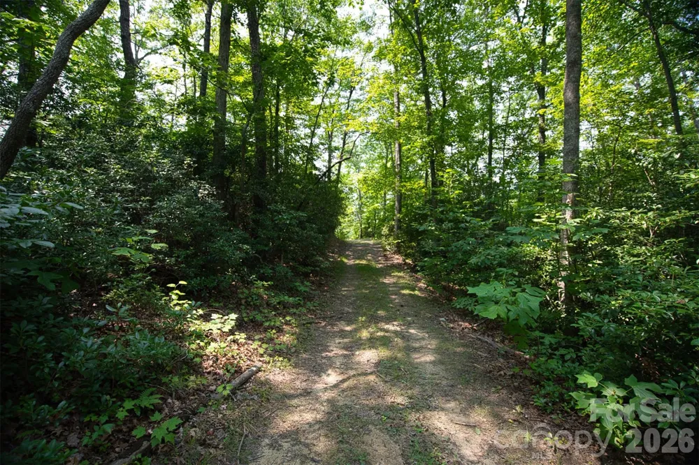35 Lower Sand Branch Road Black Mountain, NC 28711