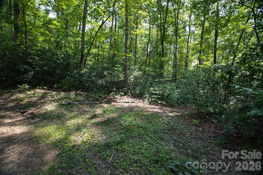 35 Lower Sand Branch Road Black Mountain, NC 28711