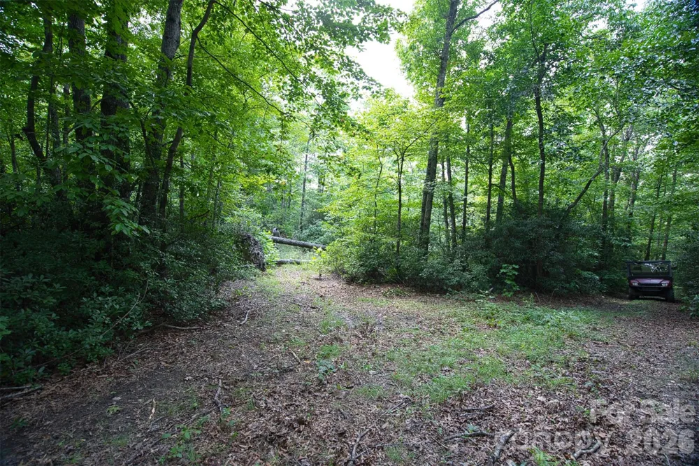 35 Lower Sand Branch Road Black Mountain, NC 28711