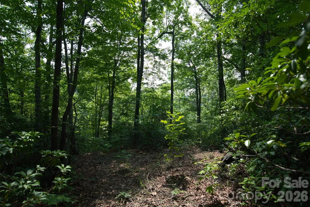 35 Lower Sand Branch Road Black Mountain, NC 28711