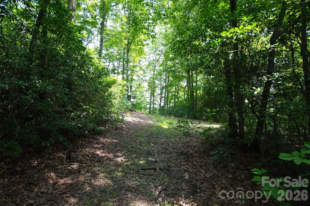 35 Lower Sand Branch Road Black Mountain, NC 28711
