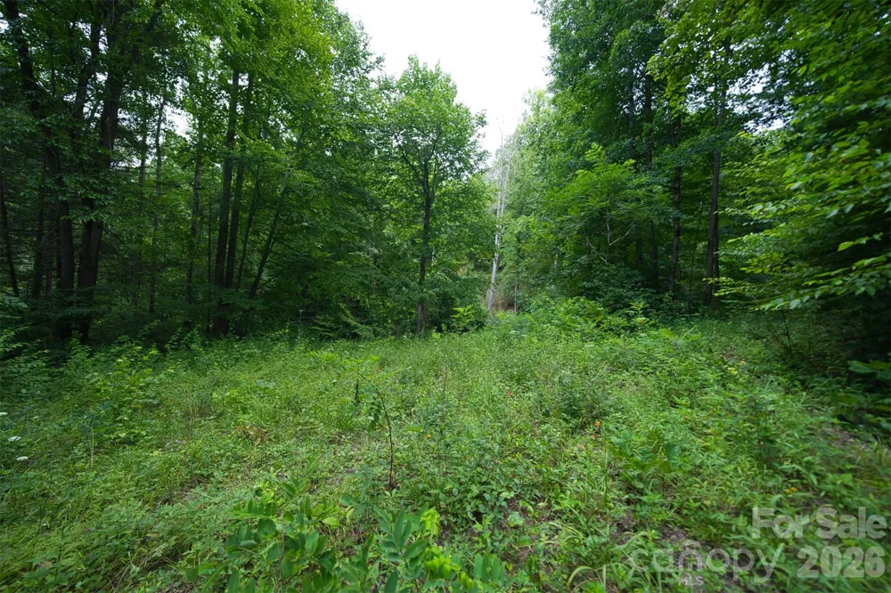 35 Lower Sand Branch Road Black Mountain, NC 28711