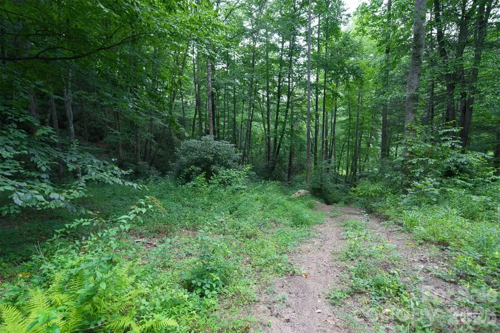 35 Lower Sand Branch Road Black Mountain, NC 28711