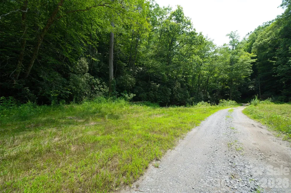 35 Lower Sand Branch Road Black Mountain, NC 28711
