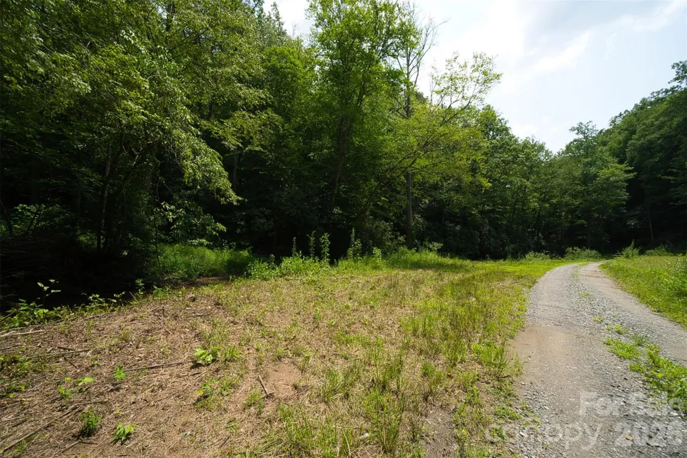 35 Lower Sand Branch Road Black Mountain, NC 28711