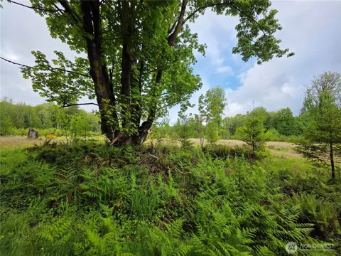 670 W Maple Rock Road