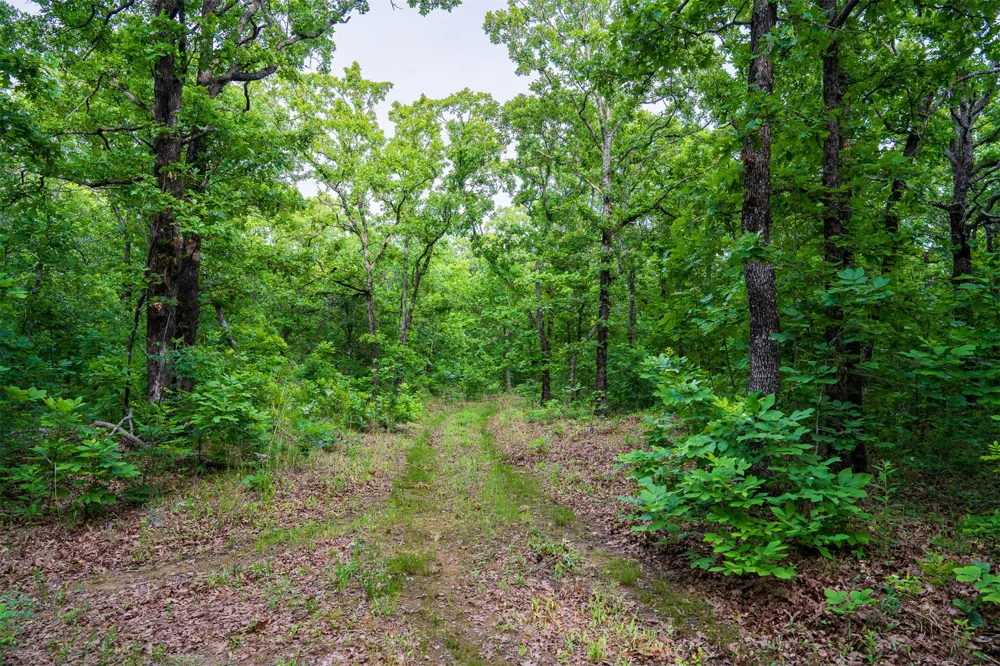 240 E 191st Street S Bixby, OK 74008