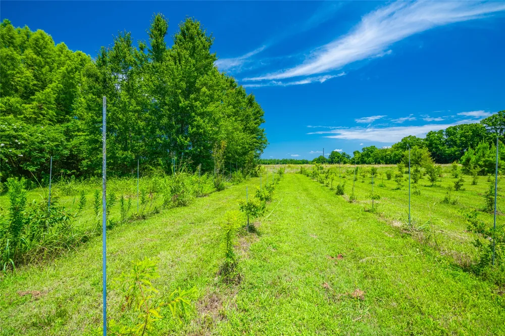 HWY 37 Highway Garvin, OK 74736
