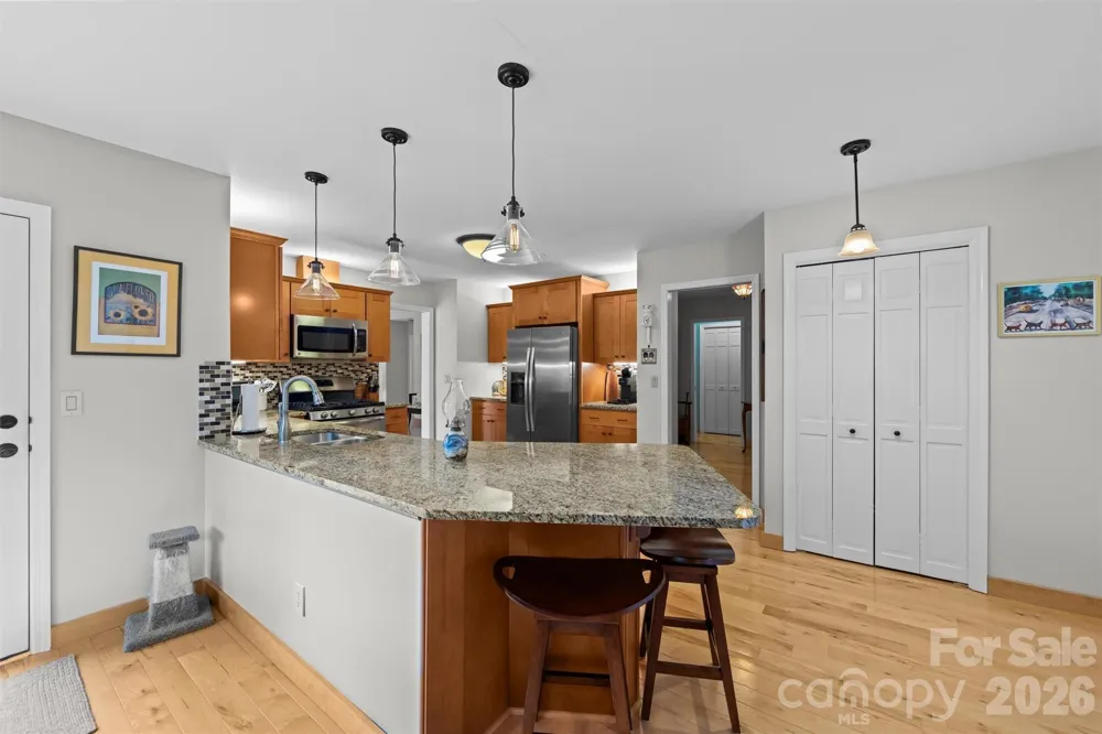 4 Governors Way Asheville, NC 28804