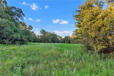 CR355 loop & CR356