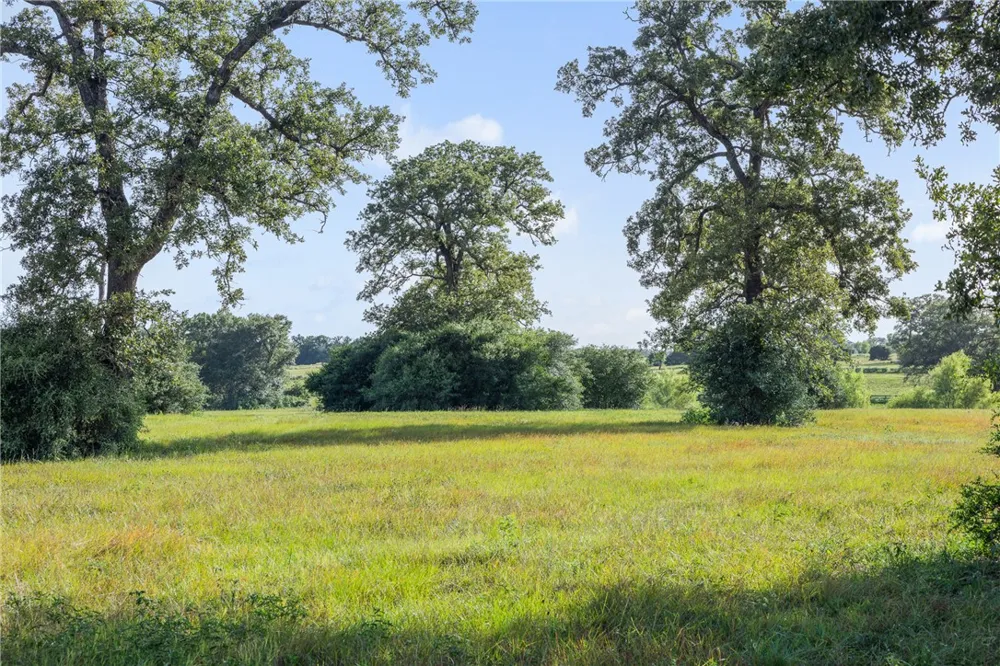 4845 County Road 119 Caldwell, TX 77836