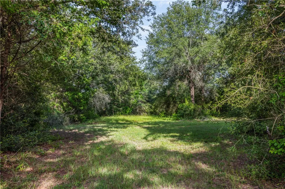4845 County Road 119 Caldwell, TX 77836