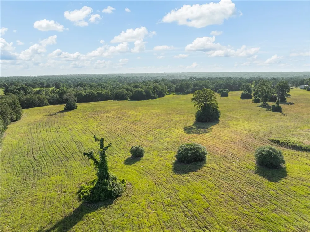 4845 County Road 119 Caldwell, TX 77836