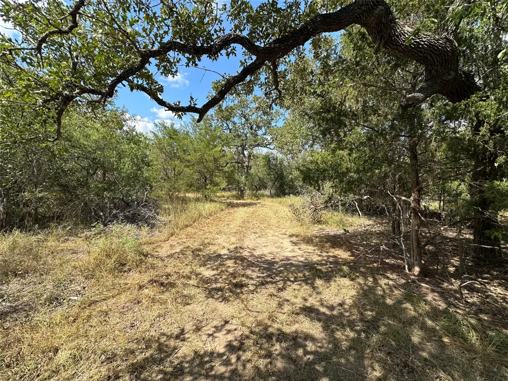 590 Coastal Lane Luling, TX 78648