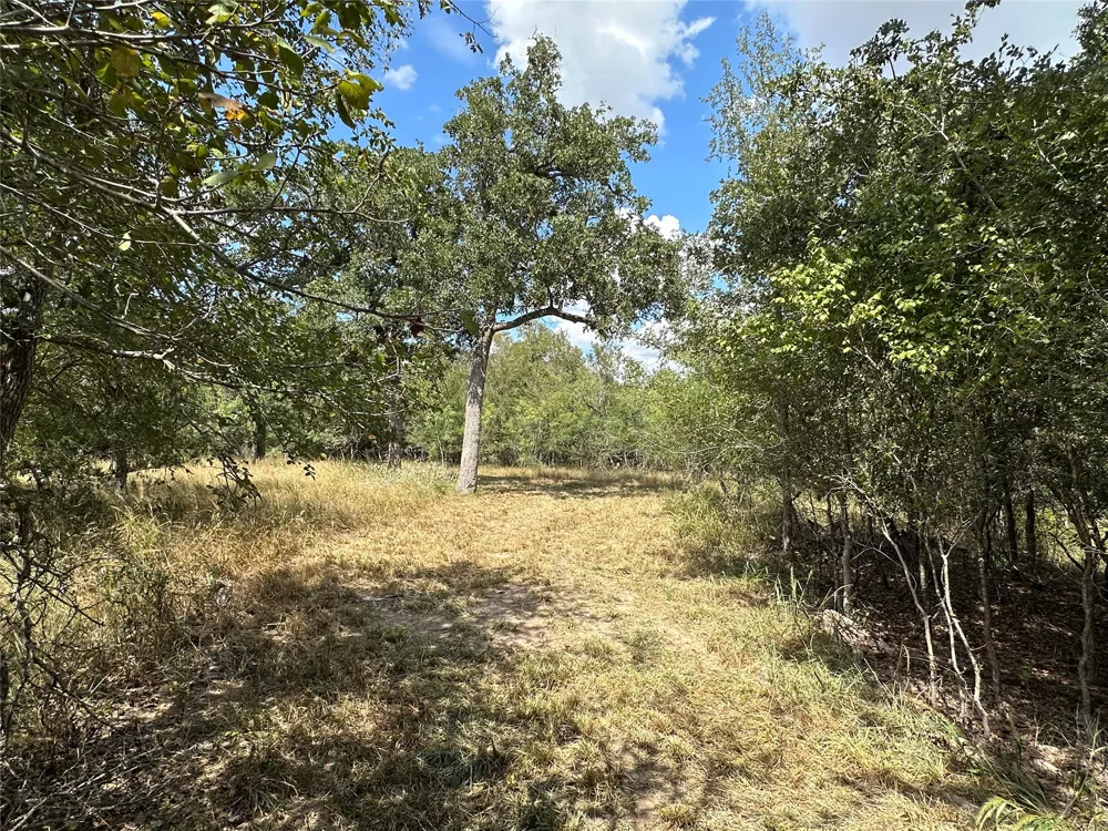 590 Coastal Lane Luling, TX 78648