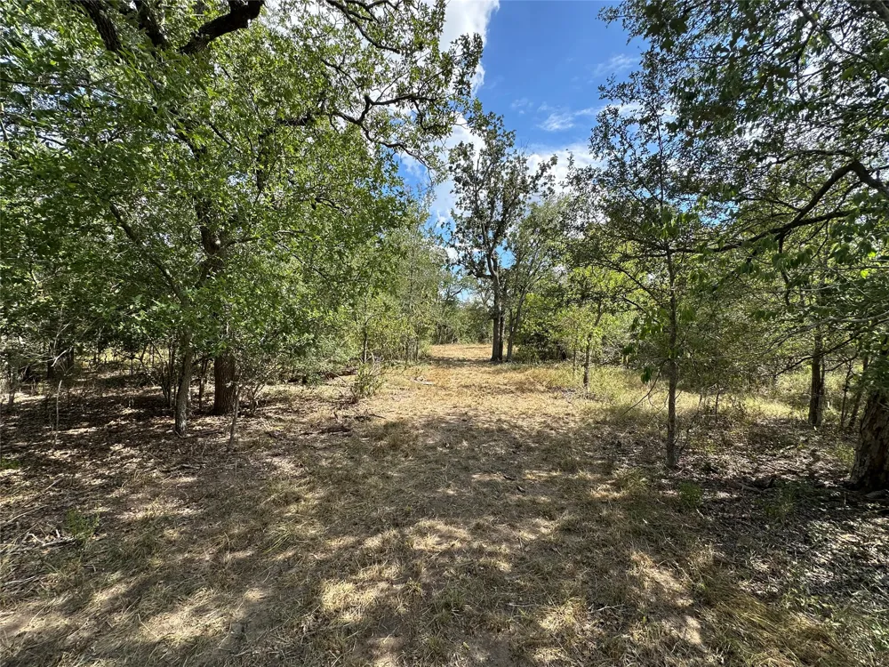 590 Coastal Lane Luling, TX 78648