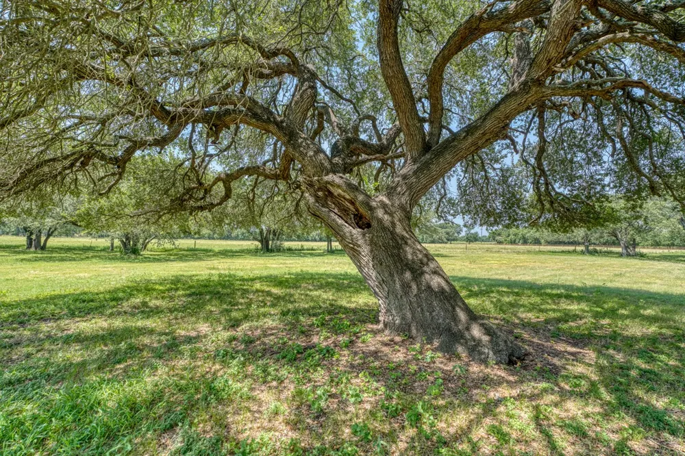 1498 Elmer King Road Belton, TX 76513