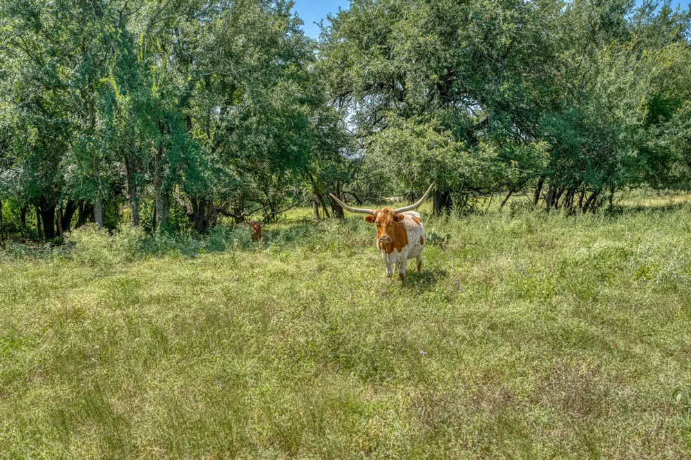 1498 Elmer King Road Belton, TX 76513