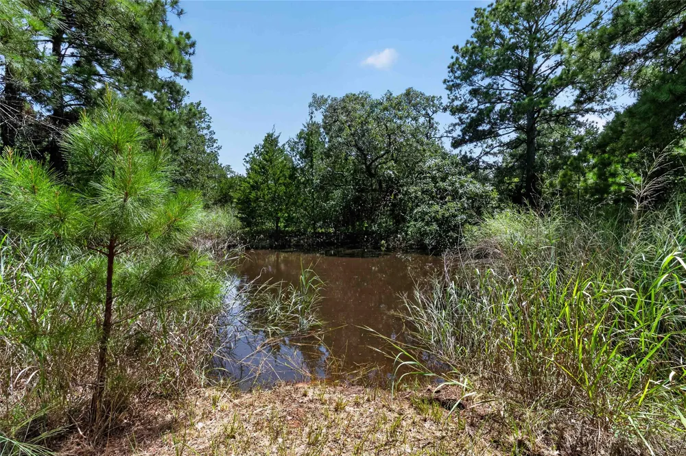 Gotier Trace Road Paige, TX 78659