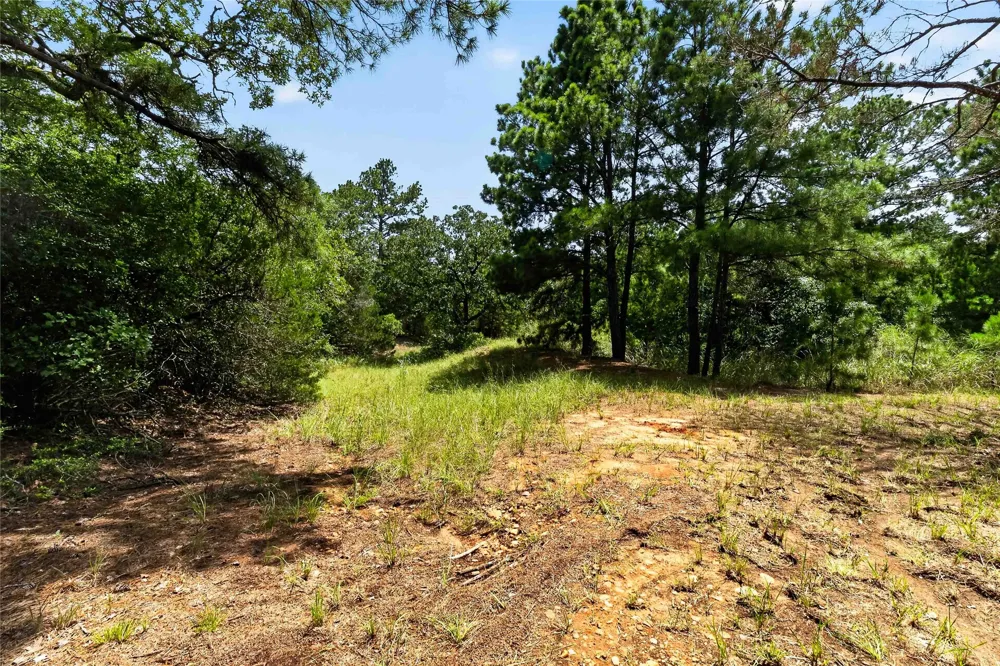 Gotier Trace Road Paige, TX 78659