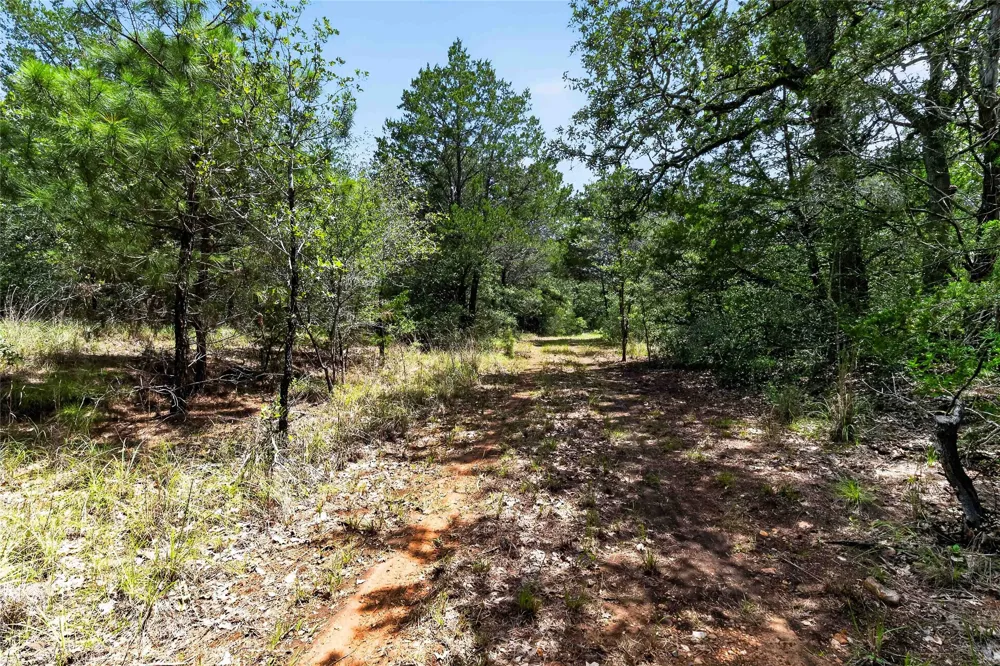 Gotier Trace Road Paige, TX 78659