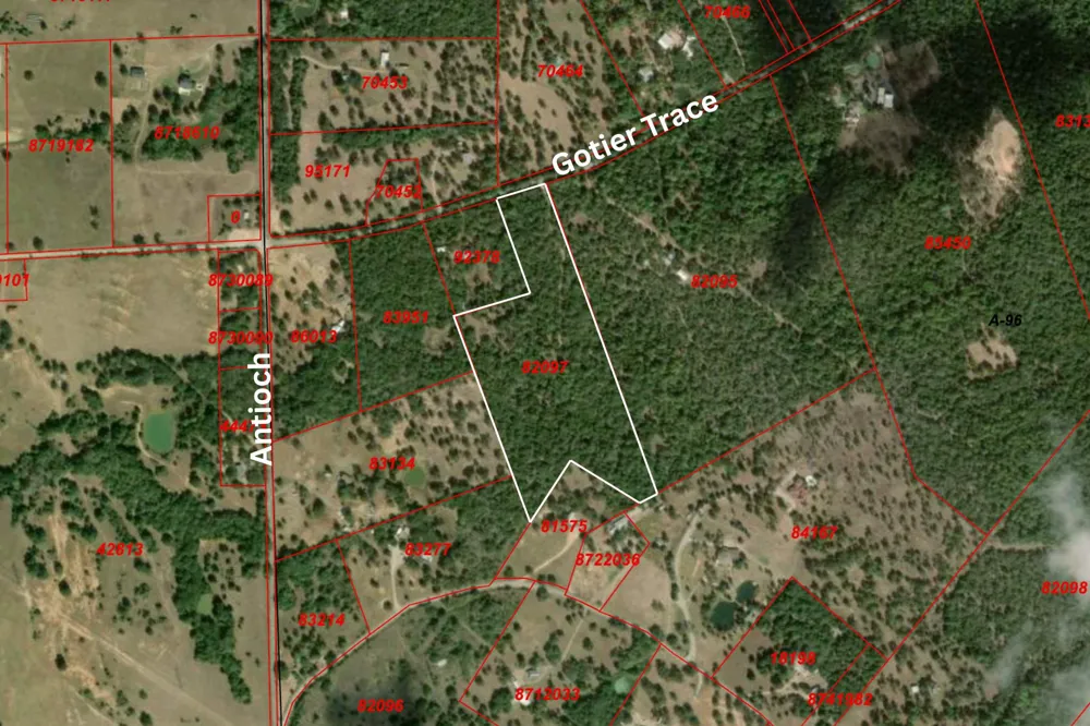 Gotier Trace Road Paige, TX 78659