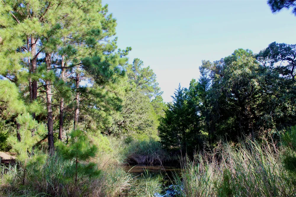 Gotier Trace Road Paige, TX 78659