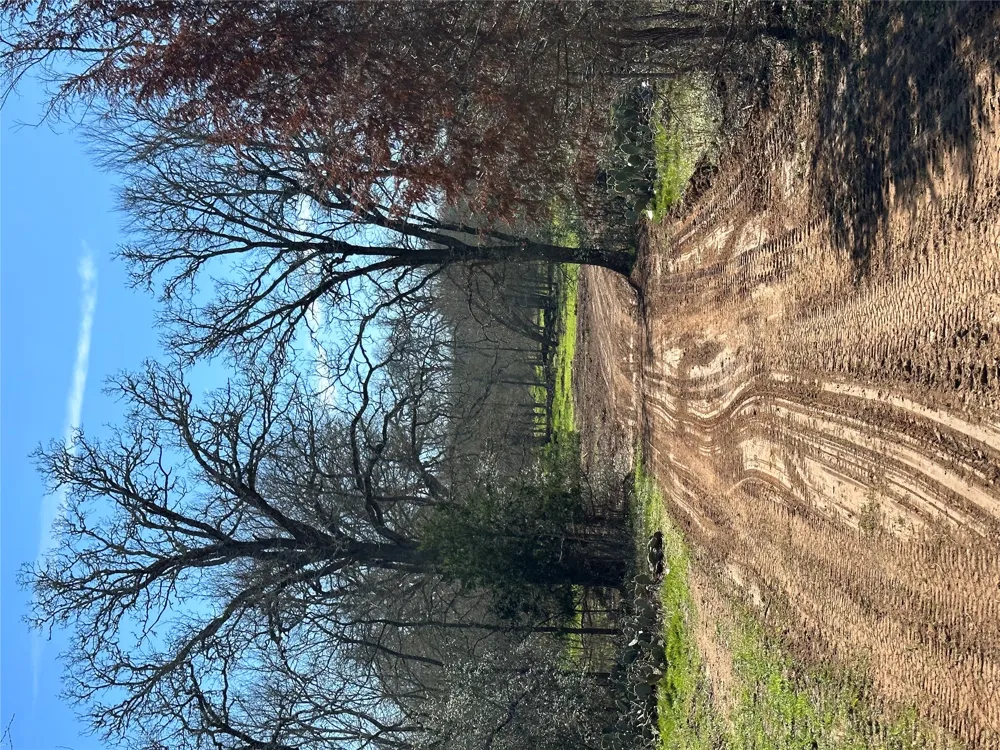 650 Coastal Lane Luling, TX 78648