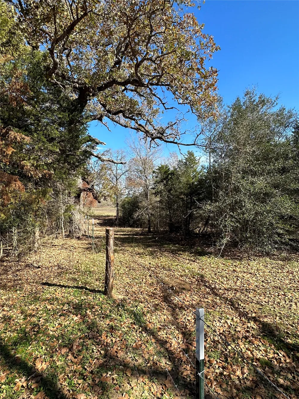 650 Coastal Lane Luling, TX 78648