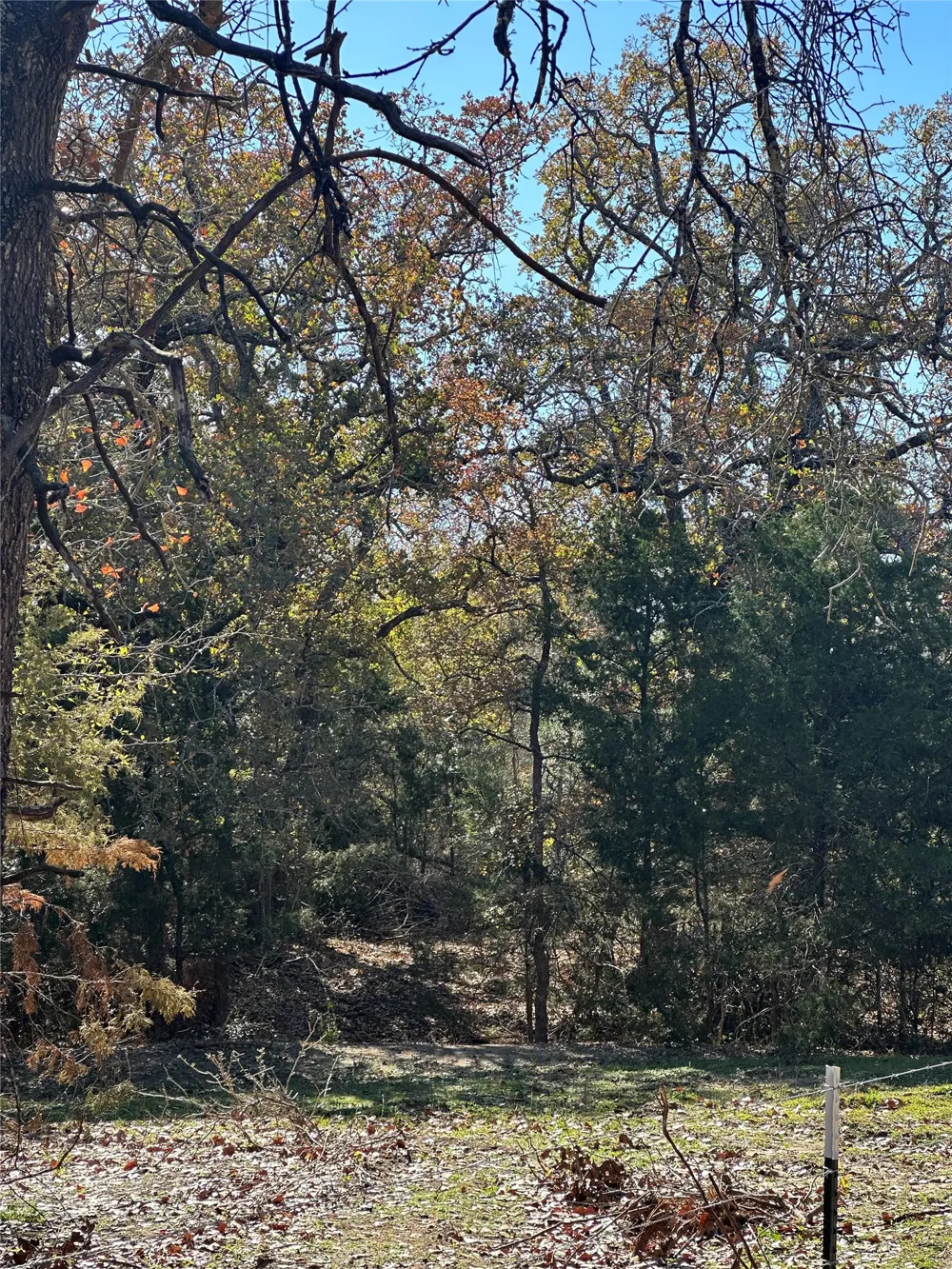 650 Coastal Lane Luling, TX 78648