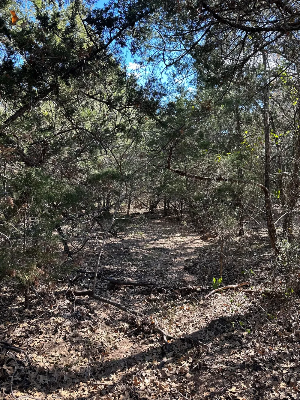 650 Coastal Lane Luling, TX 78648