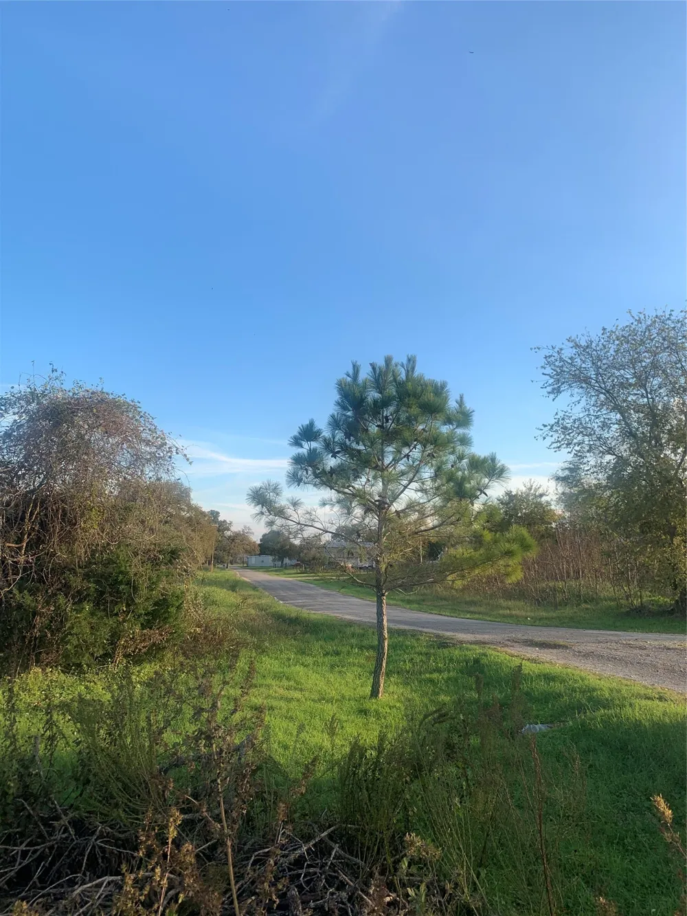 Main Street Rosanky, TX 78953