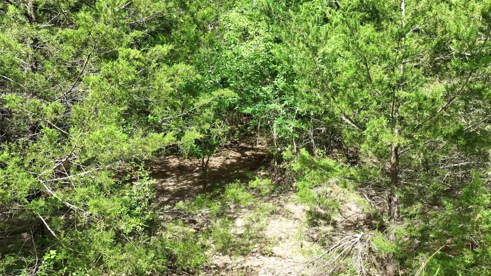 833 E State Highway 159 Fayetteville, TX 78940