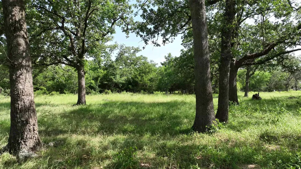 833 E State Highway 159 Fayetteville, TX 78940