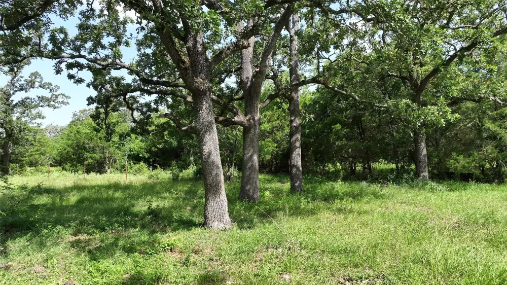 833 E State Highway 159 Fayetteville, TX 78940