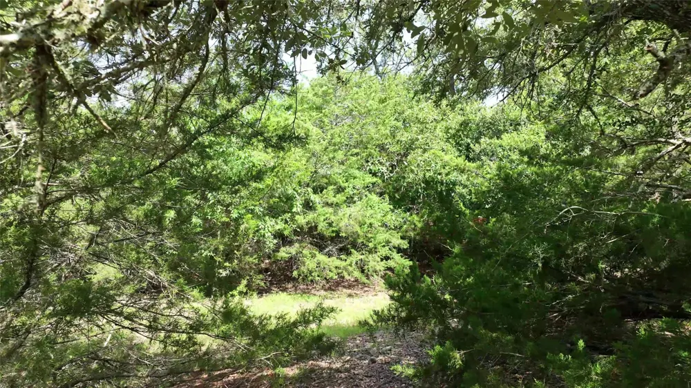 833 E State Highway 159 Fayetteville, TX 78940