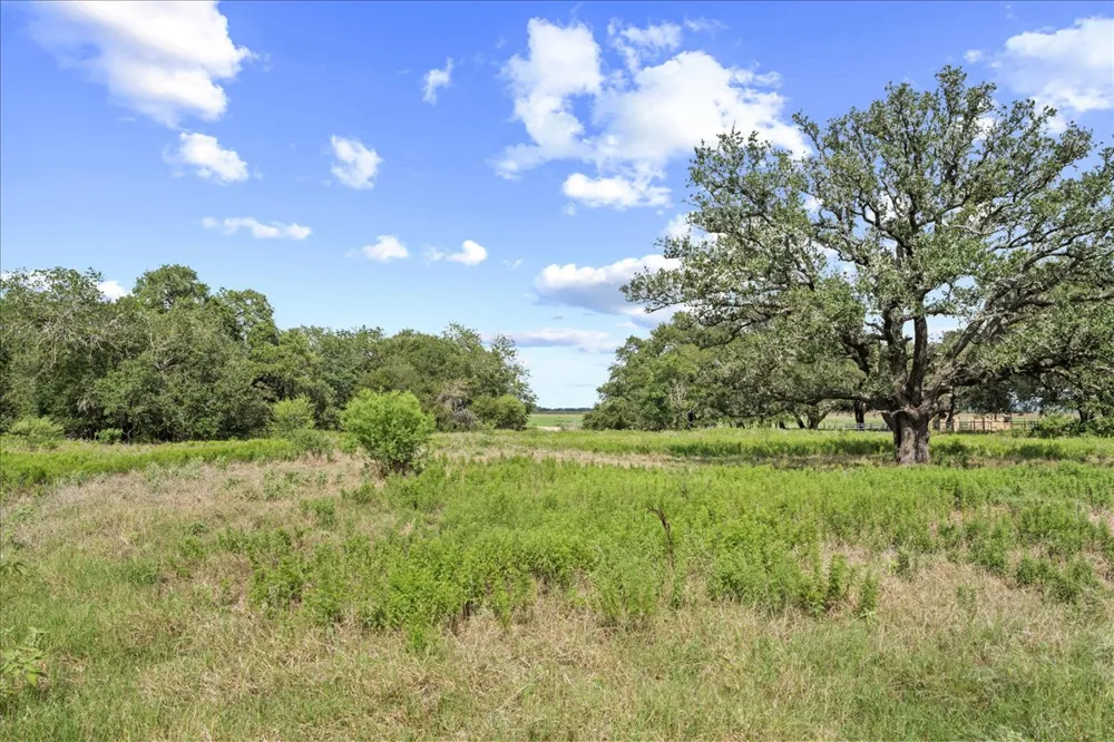 399 Prune Road La Grange, TX 78945