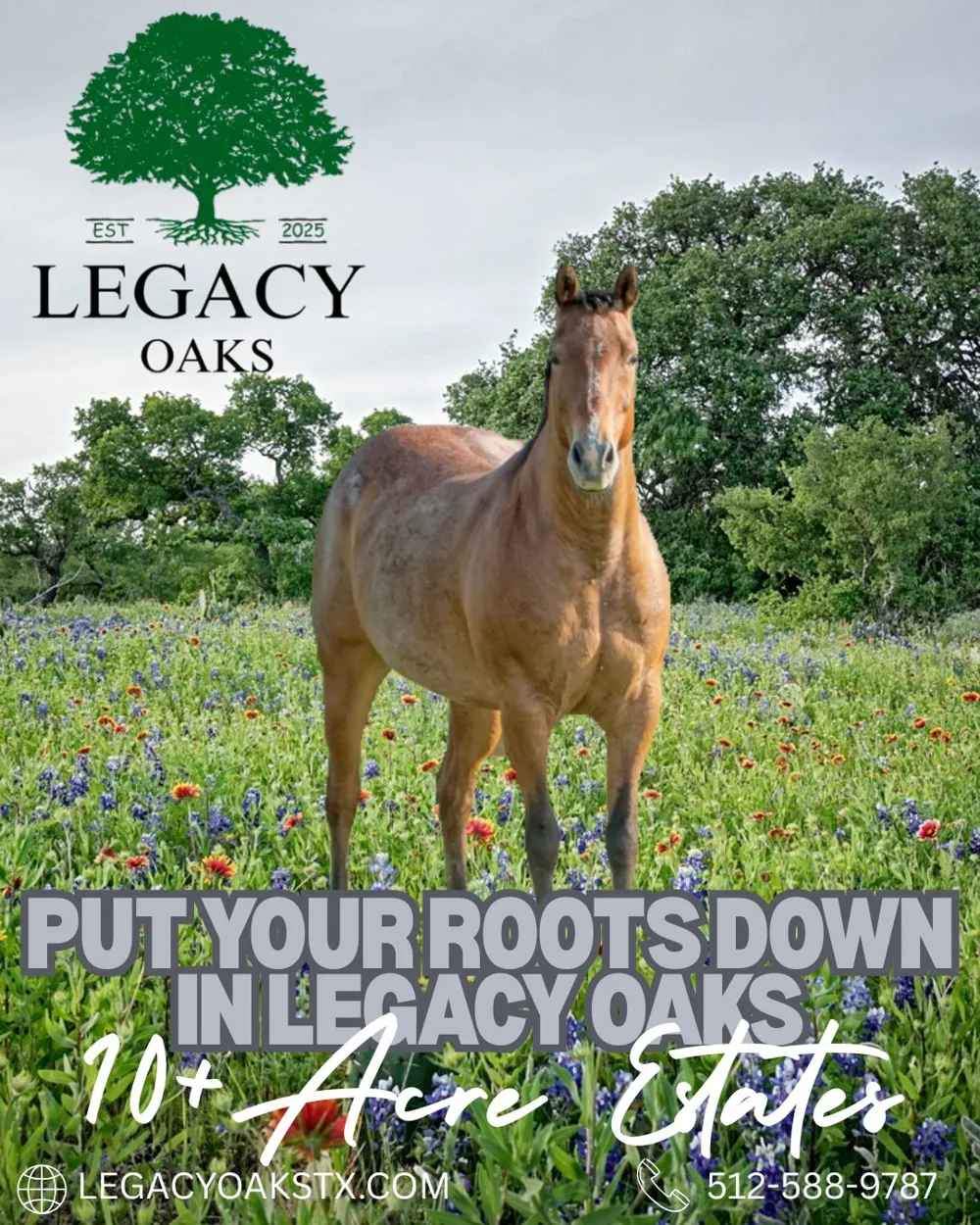 1 Legacy Ridge Burnet, TX 78611