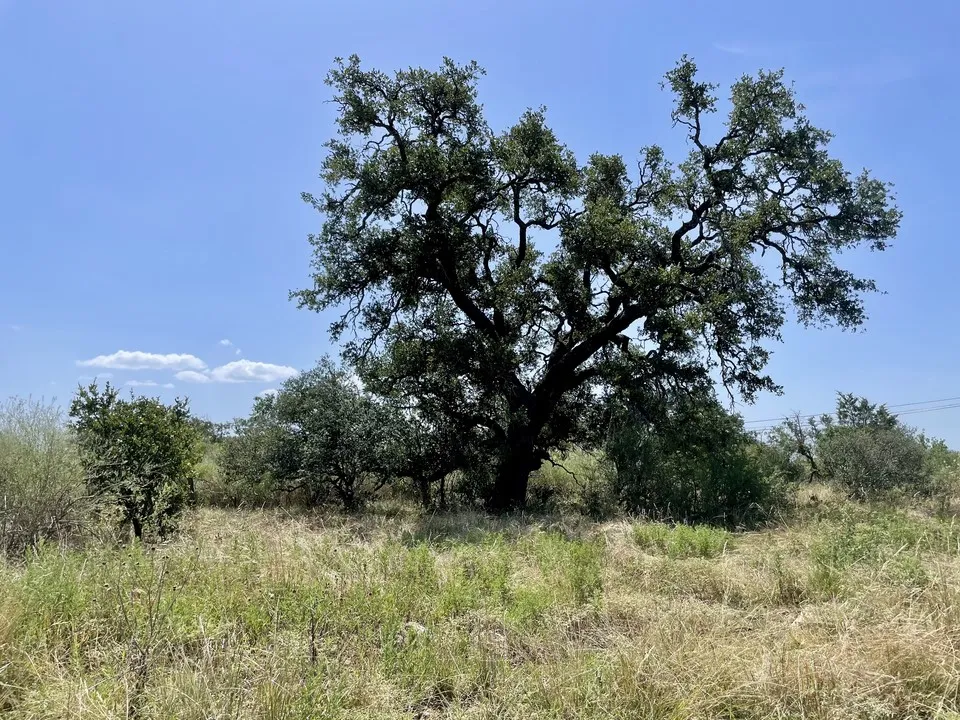 1 Legacy Ridge Burnet, TX 78611