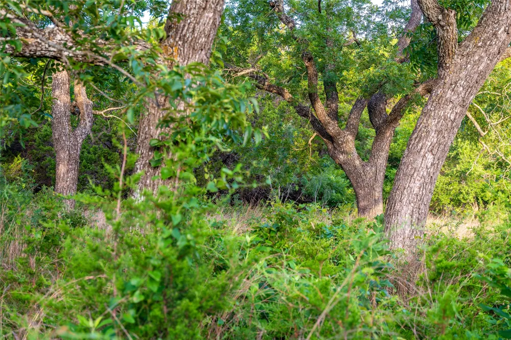 10223 FM963 Burnet, TX 78611