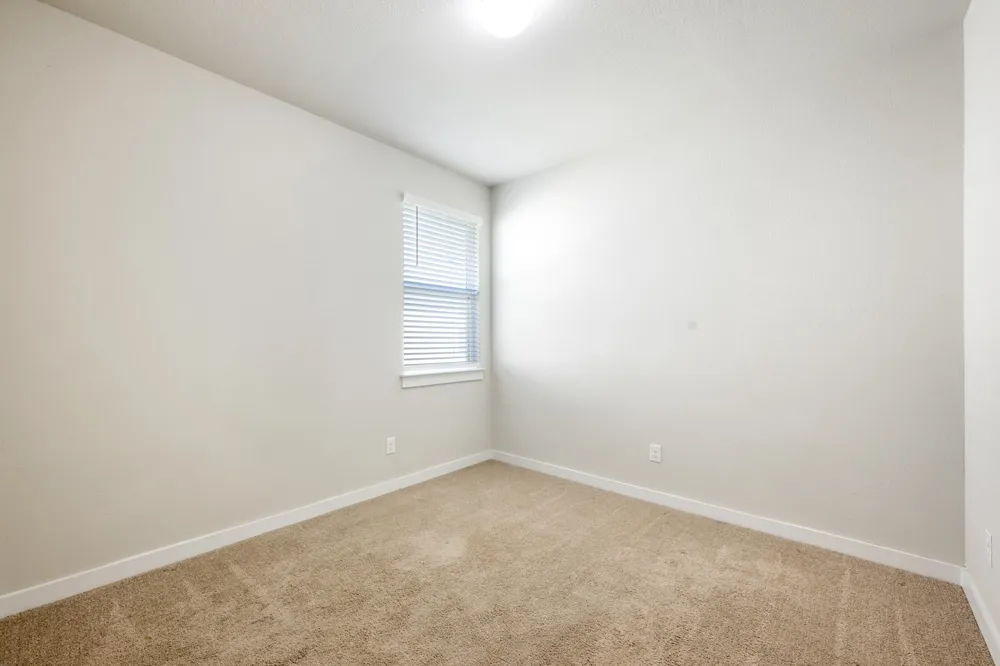 300 Hortus Drive Kyle, TX 78640