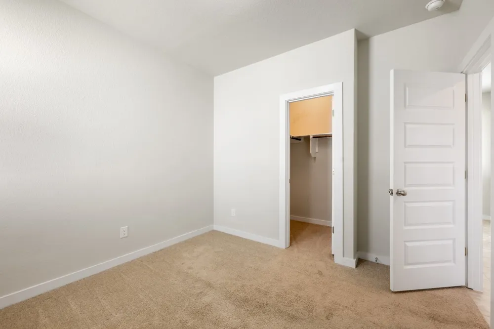 300 Hortus Drive Kyle, TX 78640