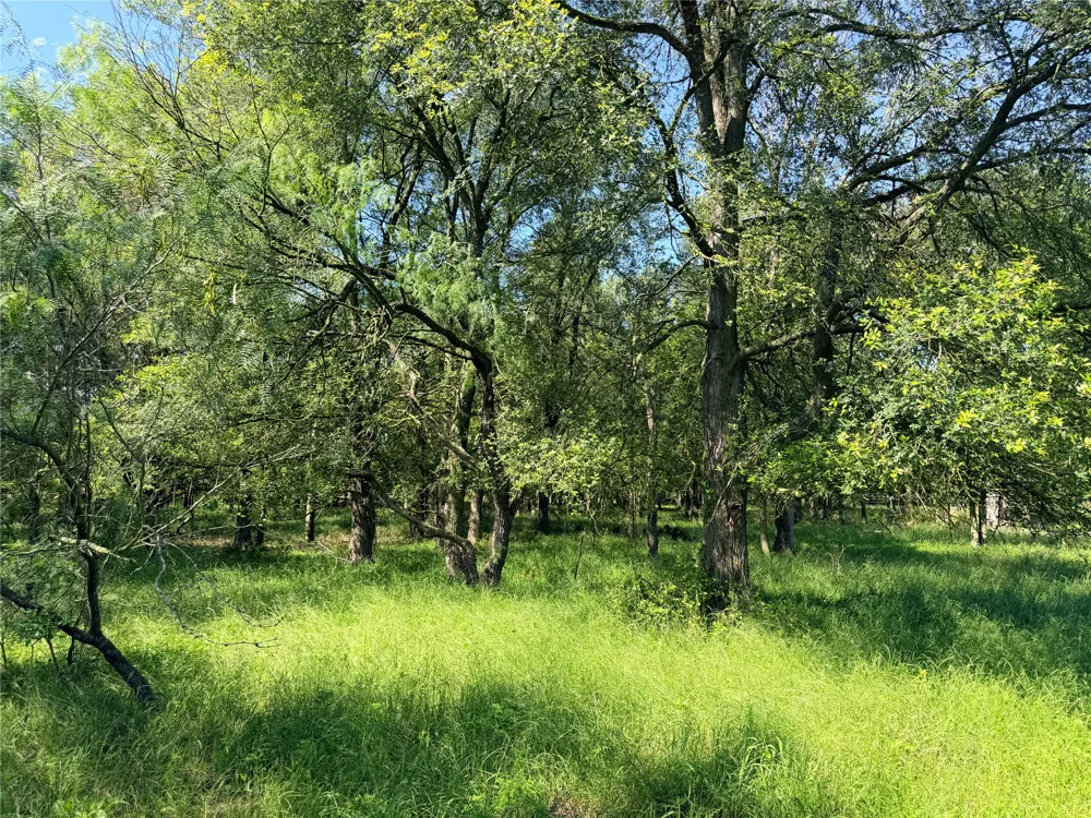 FM 86 Tract 7 Highway Luling, TX 78648
