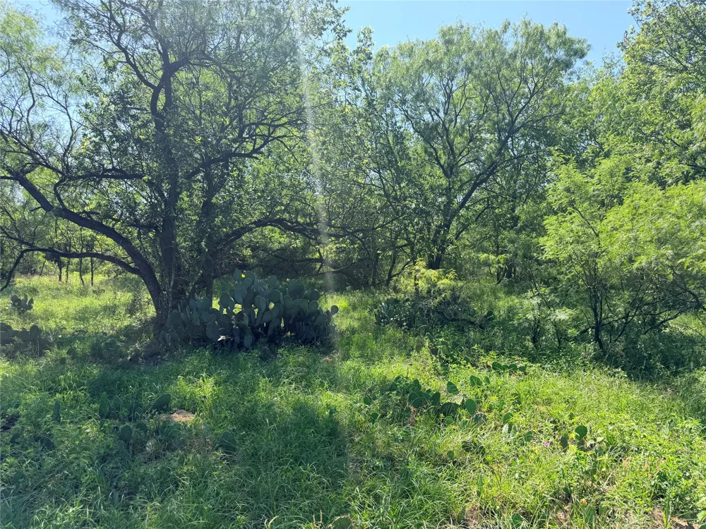 FM 86 Tract 7 Highway Luling, TX 78648
