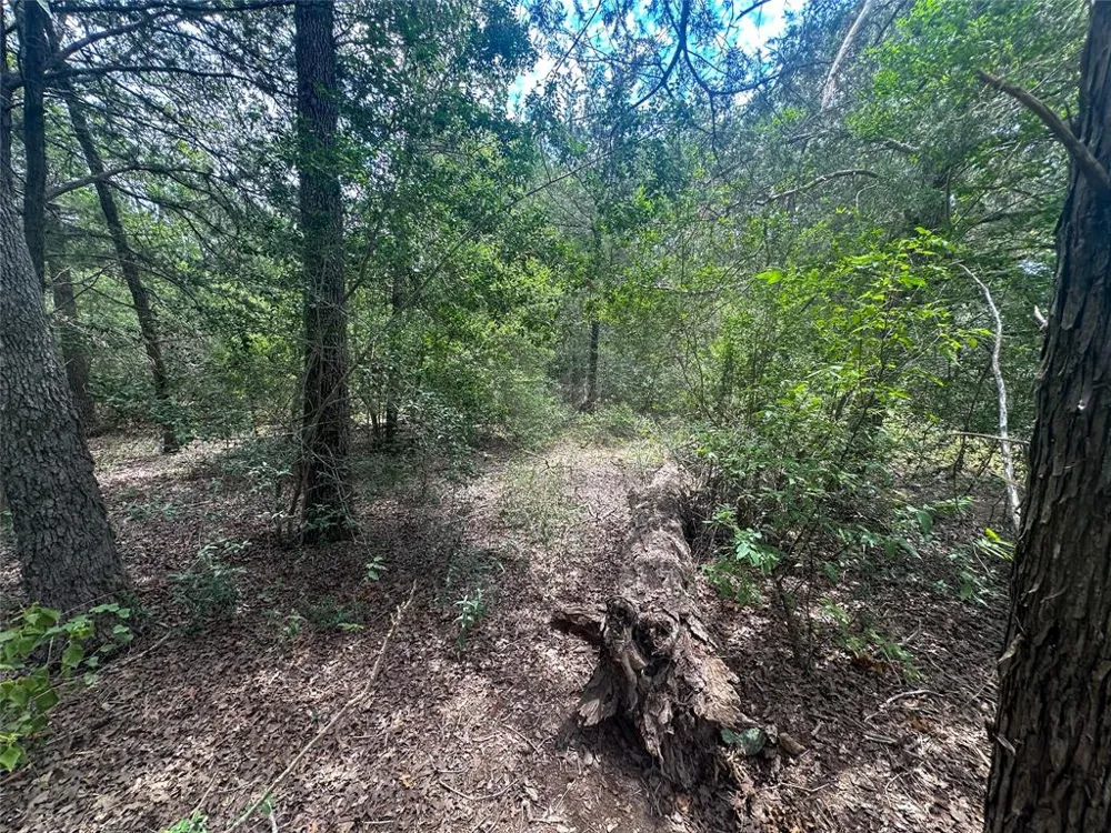 246 Arrowhead Drive Smithville, TX 78957