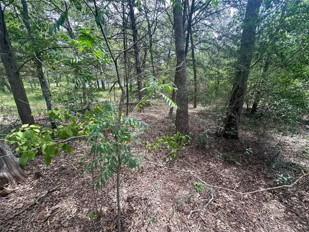 246 Arrowhead Drive Smithville, TX 78957