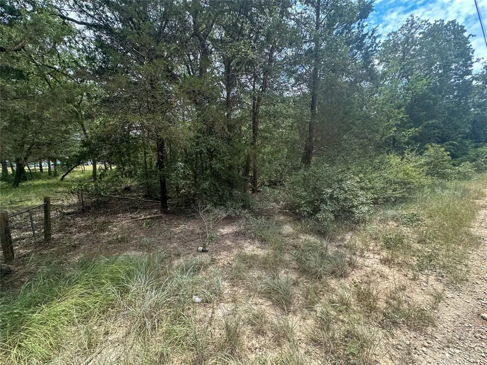 246 Arrowhead Drive Smithville, TX 78957