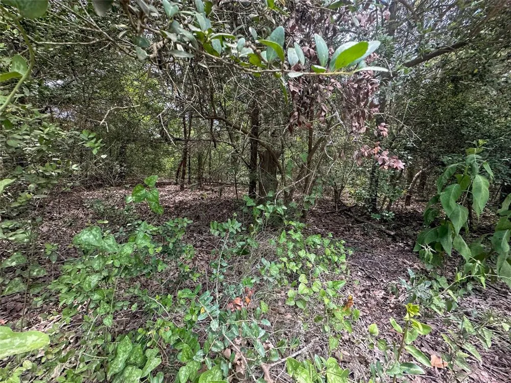 246 Arrowhead Drive Smithville, TX 78957