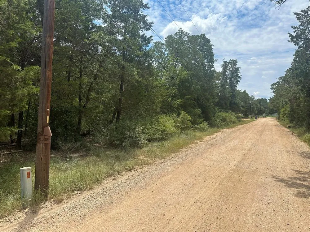 246 Arrowhead Drive Smithville, TX 78957