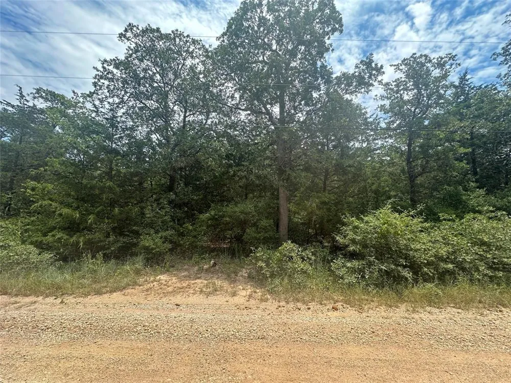 246 Arrowhead Drive Smithville, TX 78957